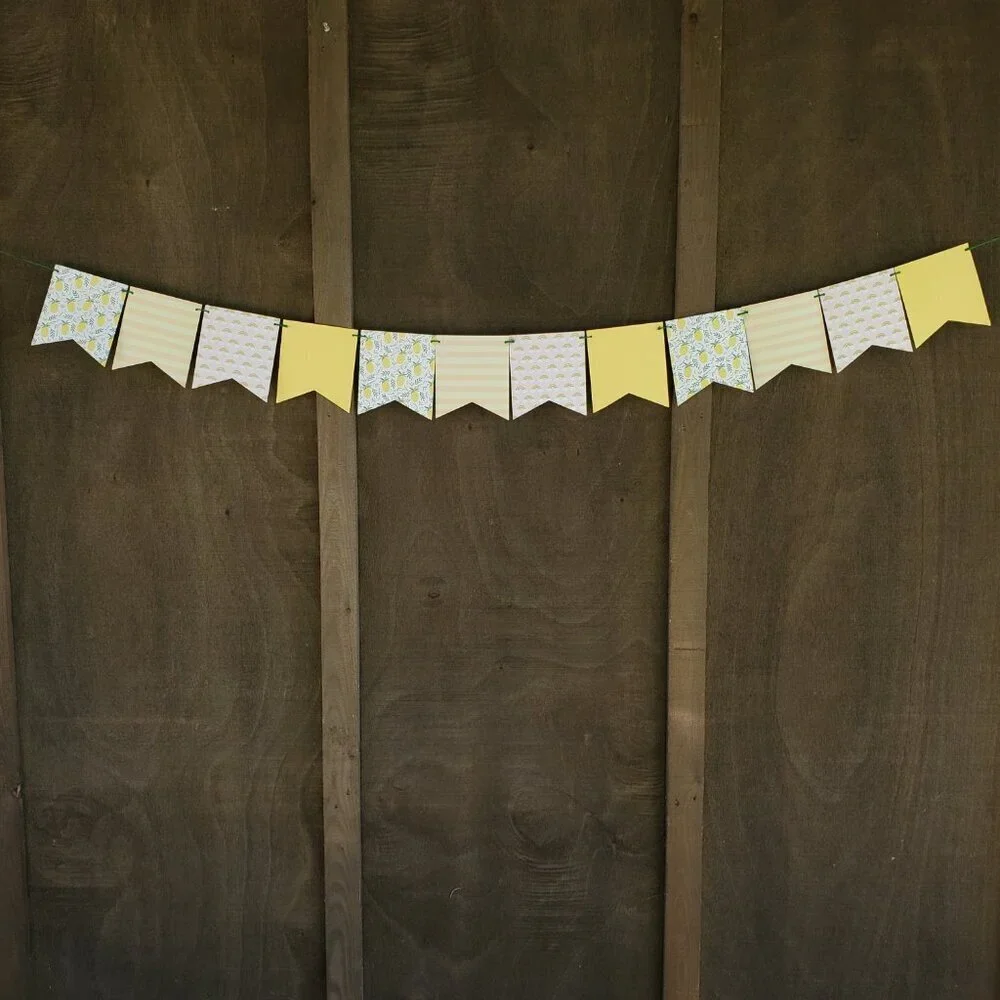 Pineapple Rainbow Party Set